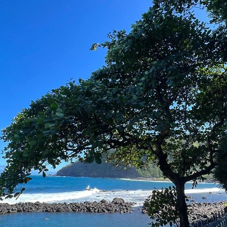 Le Liseron Creole - Entre Terre, Mer Et Riviere - Proche Toutes Commodites Сен-Жозеф Экстерьер фото